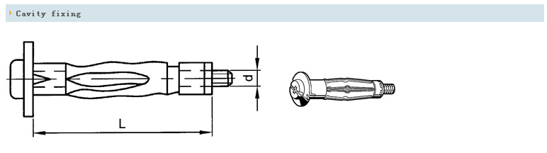 膨胀螺栓 Cavity fixing 腔壁固定螺栓